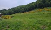 Trail Walking Bagnères-de-Luchon - descente Campsaure avec Aless  - Photo 2