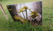 Tour Wandern Steinbiedersdorf - expo nature Faulquemont  - Photo 6