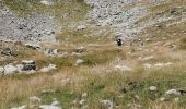 Trail Walking Saint-Martin-Vésubie - Cime ouest de fenestre  - Photo 1
