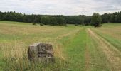 Tour Zu Fuß Gladenbach - [G4] - Rundweg Gladenbach - Reithalle - alter Pflanzengarten - Rachelshausen - Kehlnbach - Kehlnbachtal - Gladenbach - Photo 4