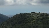 Randonnée Marche Levens - Mont Cima - Photo 7