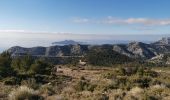 Trail Walking Marseille - Rando#3 mont Puget  - Photo 9