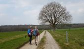 Trail Walking Doische - SAT-1 2019-03-28 Doiche - Hastiere 23 Km - Photo 12