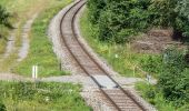 Tour Zu Fuß Sursee - Suhrenuferweg - Photo 6