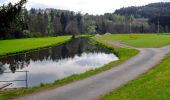 Tour Zu Fuß Hohenberg an der Eger - Wanderweg 1 Hohenberg a.d. Eger - Photo 2