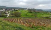 Trail Walking Damery - Damery du 20-04-2023 - Photo 1