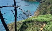 Tour Wandern Crozon - Cap de la Chèvre  - Photo 1