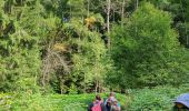 Randonnée Marche Claix - Le plateau de Peuil - Photo 5