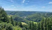 Tour Wandern Hohenfels - Escapardenne Eisleck Trail: Nadrin - La Roche-en-Ardenne - Photo 10