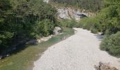 Excursión Senderismo Trigance - LE pont du Sautet,de Carajuan et le belvédère des vautours - Photo 12