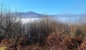 Excursión Senderismo Baztán - SityTrail - Le Legate depuis Lekaroz - Photo 2