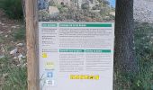 Trail Walking Lirac - Le Tanargue - Photo 8