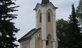 Tocht Te voet Straß in Steiermark - Auen- und Moorwanderweg - Photo 6