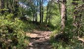 Trail Walking Névache - Les chalets  - Photo 7