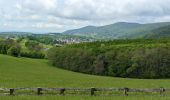 Trail Horseback riding Langensoultzbach - 2023-05-06 WE CVA Langensoultzbach Grand Wintersberg - Photo 2