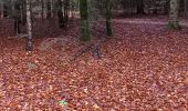 Tour Elektrofahrrad Saint-Clément - sortie vtt 01112023 deneuvre - Photo 9