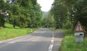 Trail On foot Meißner - Kupferbachtal und Wellingeröder Höhe - Photo 1