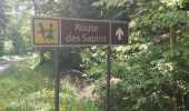 Randonnée Marche Villers-sous-Chalamont - Route des sapins Montorge - Photo 2