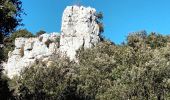 Trail Walking Seillons-Source-d'Argens - Rocher des abeilles-02-02-2022 - Photo 5