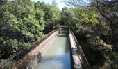 Tour Wandern Carpentras - PF-Canal de Carpentras - Photo 8