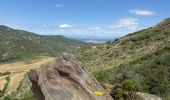 Randonnée  Collioure - Vignes et montagne Collioure  - Photo 18
