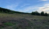 Tour Wandern Ibingen - Bois d’Halanzy et réserve du crassier - Photo 10