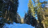Trail Walking Gérardmer - Les Bas-Rupts - Les Hautes Vannes
[Par Les Lattes - 3]  - Photo 10