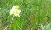 Trail Walking Lajoux - crêt vigoureuse - Photo 2