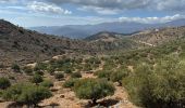 Tocht Stappen Κοινότητα Ἁγίου Νικολάου - Le sommet d’Oxa à partir d’Agios Nikolaos - Photo 16