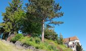Tour Wandern Dambach - Dambach - châteaux du Bernstein, de l'Ortenbourg et du Ramstein - Photo 2