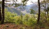 Randonnée Marche Thônes - Les Glières depuis le Crêt - Photo 4