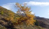 Trail Walking Saint-Michel-de-Maurienne - Croix de Bellecombe-2022-10-28 - Photo 8