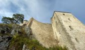 Tour Zu Fuß Gemeinde Ramsau - Wittmann (Ramsaubach) - Mariental - Araburg - Photo 1