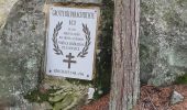 Tour Wandern Noisy-sur-École - lafeuillardièreCRI270920/CRI190921 - Photo 1