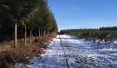 Trail Walking Bertrix - BX14 - Cornichai - Photo 9