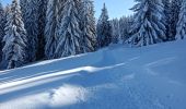 Randonnée Raquettes à neige Les Villards-sur-Thônes - Plateau de Beauregard - Photo 17