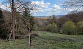 Trail Walking Farciennes - bois des corbeaux lambusart - Photo 6