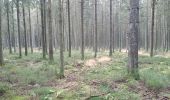 Randonnée Marche Malmedy - cascade du bayon  - rando malmedy 1 - Bambi rouge  - Photo 2