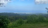Trail Trail Saint-Claude - Beausoleil  - Photo 4