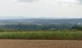 Trail Mountain bike Saint-Clément - sortie vtt du 09092018 - Photo 7