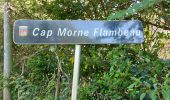 Tour Wandern Le Vauclin - Boucle Macabou via Morne Flambeau - Photo 8