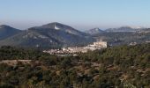 Trail Walking Caromb - caromb grand pacours - Photo 2