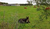 Tocht Stappen Doische - La Boucle de l'Hermeton - Photo 7