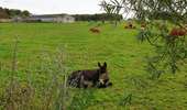 Tocht Stappen Doische - La Boucle de l'Hermeton - Photo 7