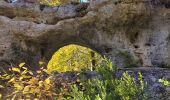 Excursión Senderismo Le Rozier - les corniches du Méjean (la Jonte) - Photo 3