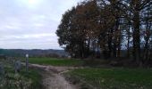 Trail Walking Voeren - balade fouronnaise saint pierre - Photo 4