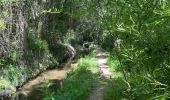 Trail  Lorgues - Tour St Jaumes pont d’argens thoronet - Photo 2