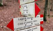 Excursión A pie Varsi - Strada di Campo del Gallo - Lago di Citta' - Cresta N - Monte Barigazzo - Photo 5