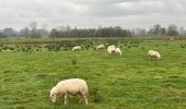 Tocht Stappen Nijlen - Nijlen Liers Lierre 23 km - Photo 14