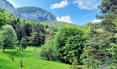 Randonnée Marche Glandage - Tour Montagne de belle Motte et sucettes de Borne Via Glandage - Photo 11